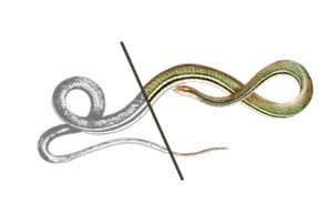 Lesson 2